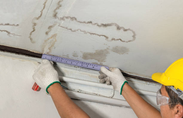 Reliable Water Damage Repair contractor in Ridgeview, WV by Hirex Water Damage